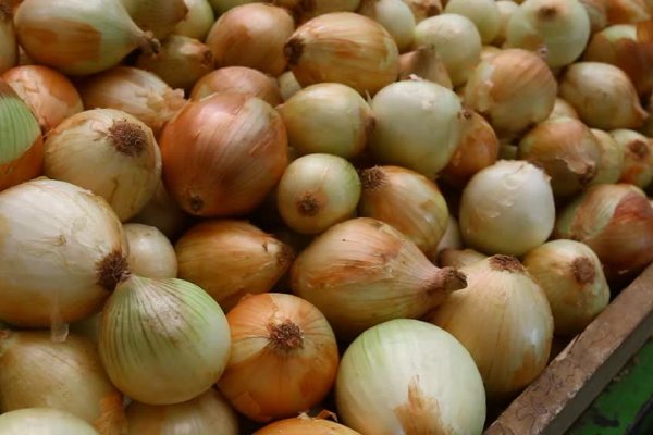 dark market onion